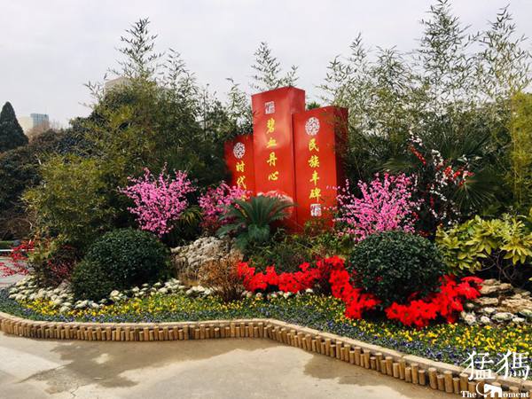 繽紛花壇慶元旦 雙梅鬧春迎新年！走，碧沙崗公園逛逛去