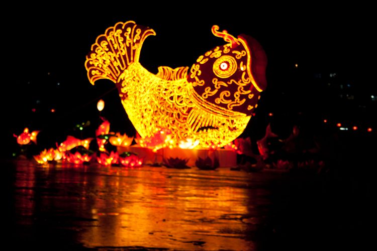 精彩實(shí)例